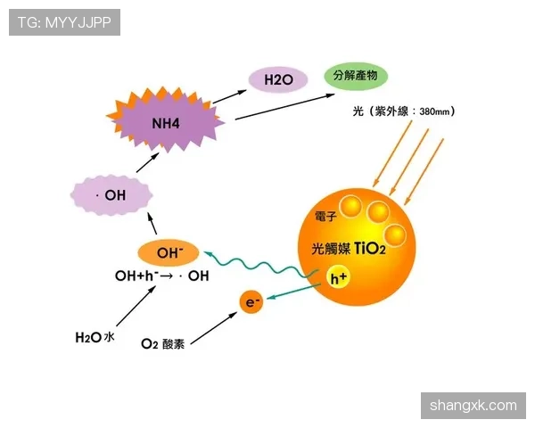 杜埃的水准数据拆解与技术分析